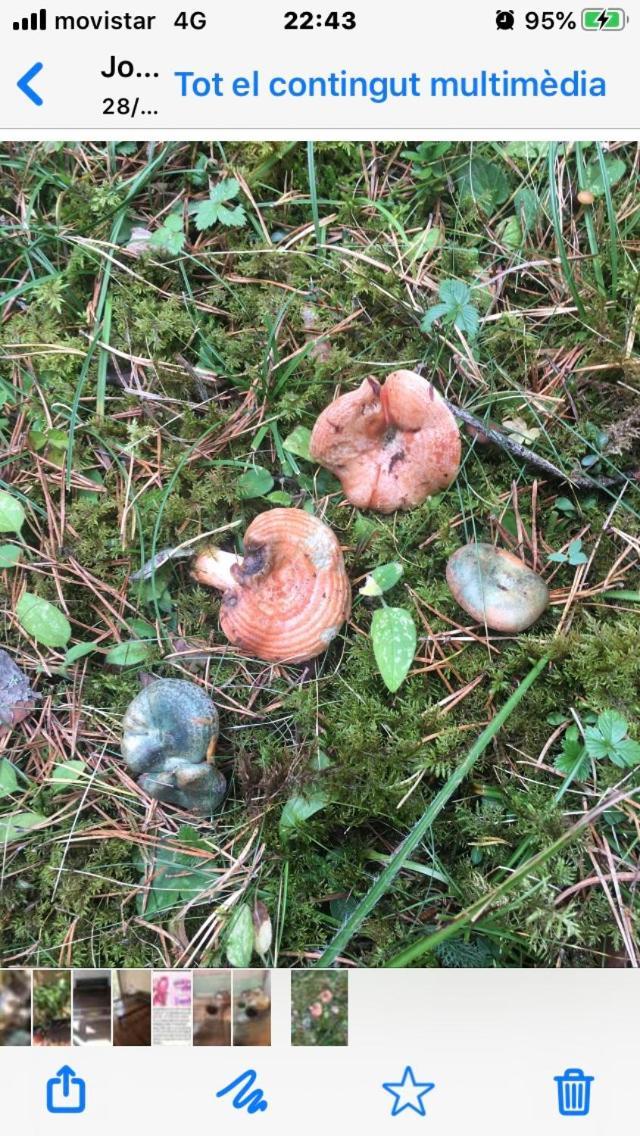 Cal Barral Villa Ansobell Eksteriør billede
